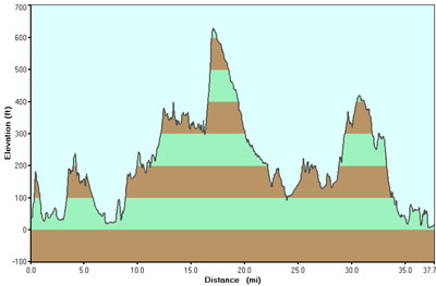 The Rides Profile